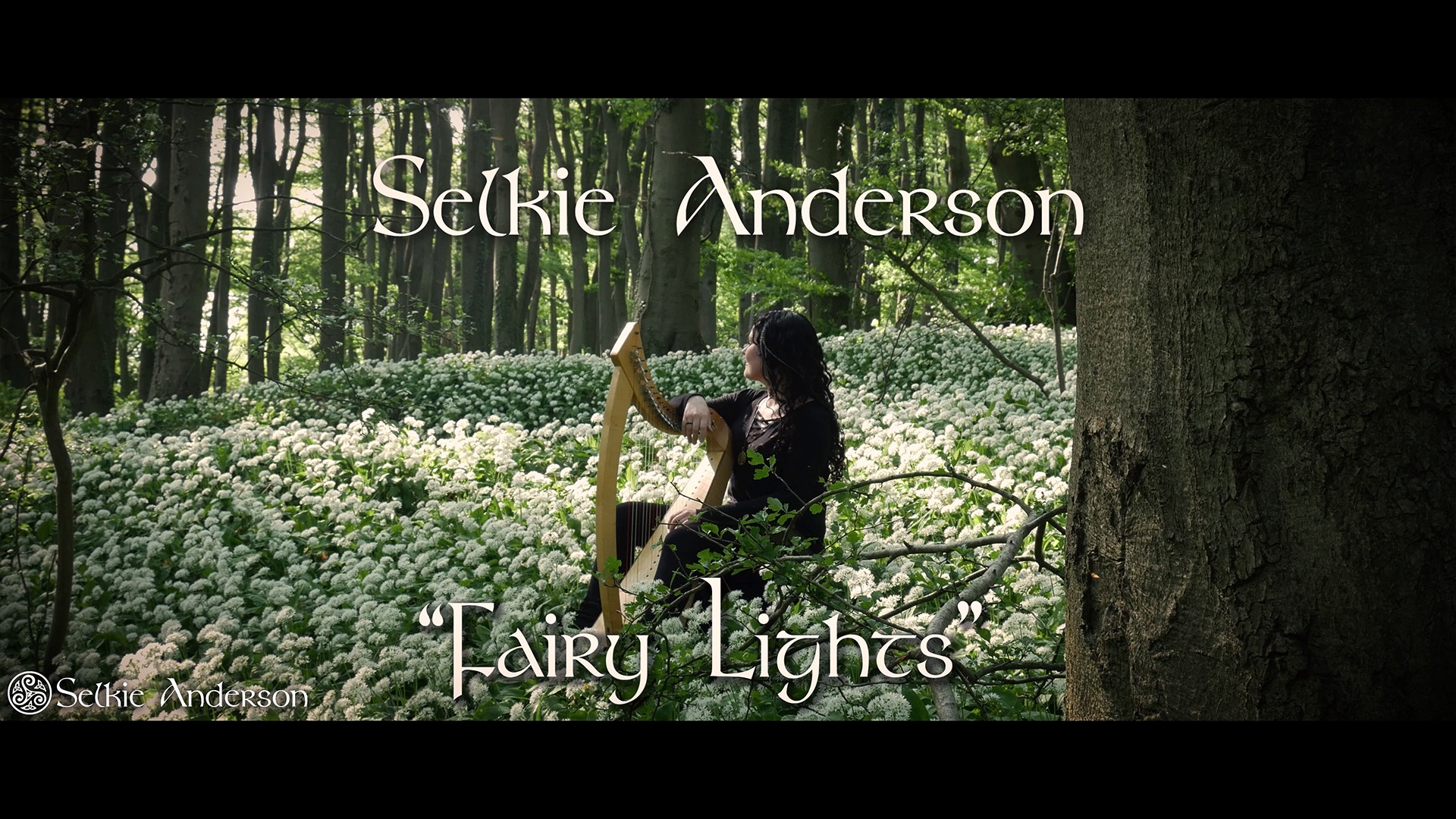 Titelbild Selkie Anderson Fairy Lights